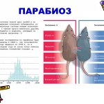 Иллюстрация №5: ВВЕДЕНИЕ В ПАТОФИЗИОЛОГИЮ (Презентации - Медицина).
